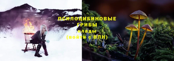 стаф Балабаново
