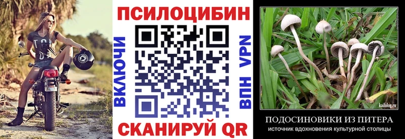 kraken рабочий сайт  как найти закладки  Тотьма  Псилоцибиновые грибы Psilocybe 